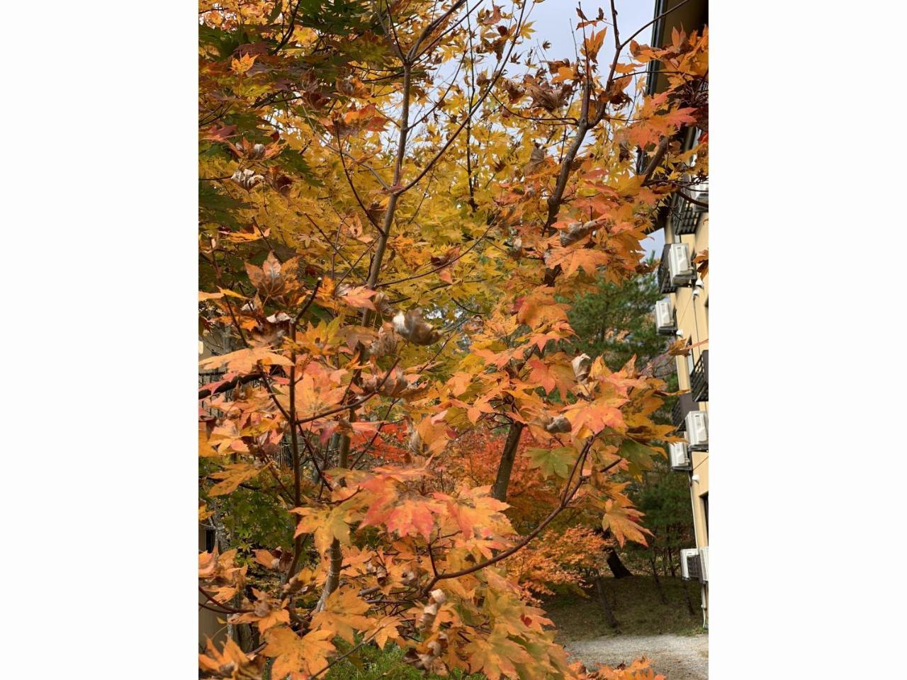 Zao Shikitei Otel Shiroishi  Dış mekan fotoğraf